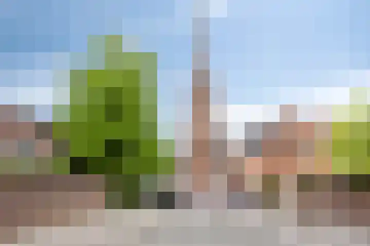 Den Heuvel 214 Velp thumbnail 28