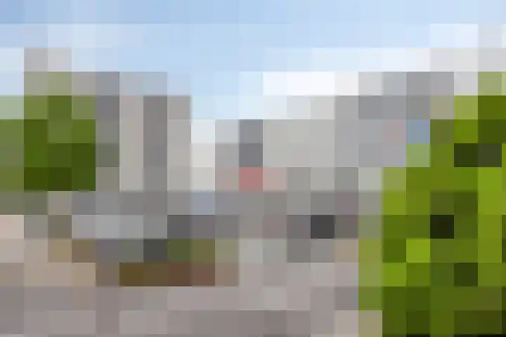Den Heuvel 214 Velp thumbnail 4