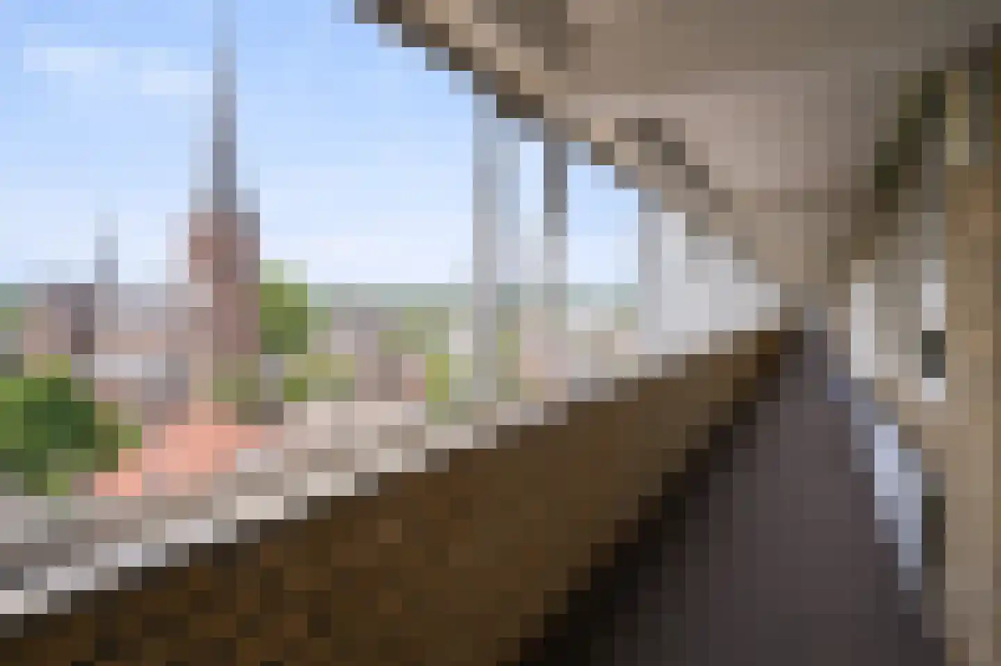 Den Heuvel 230 Velp thumbnail 25
