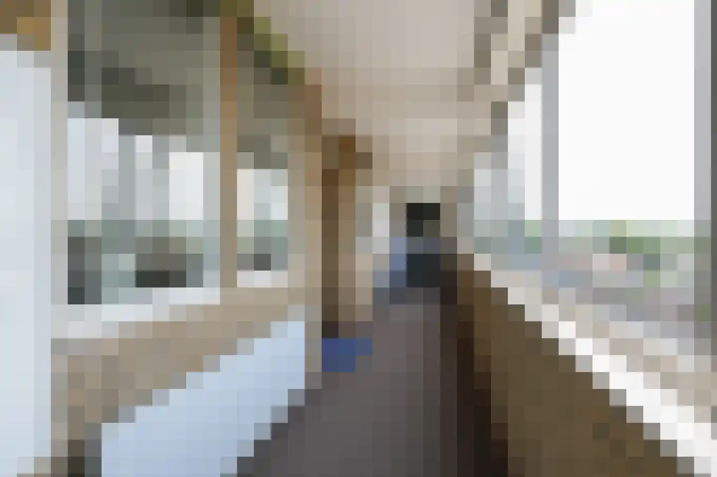 Den Heuvel 230 Velp thumbnail 26