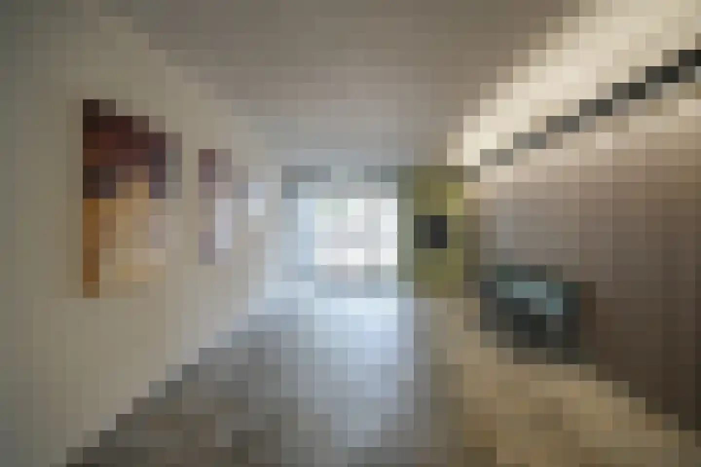 Den Heuvel 230 Velp thumbnail 27