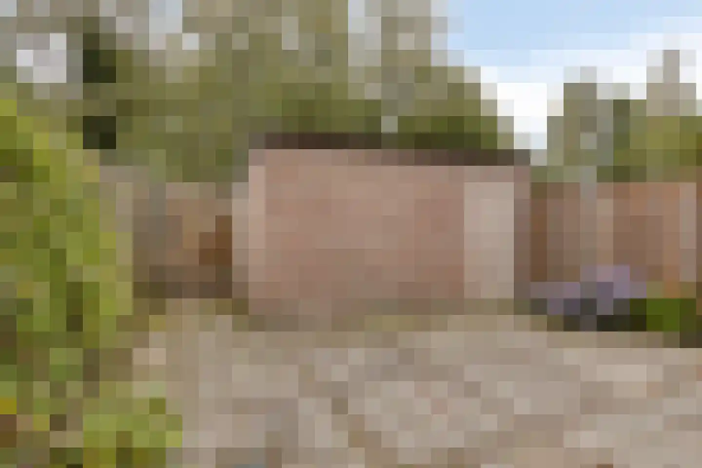 den Heuvel 30 Oirschot thumbnail 18