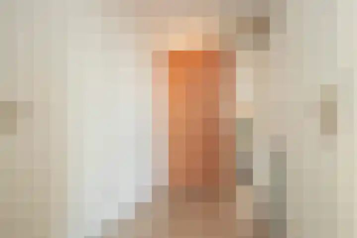 Den Heuvel 47 Genemuiden thumbnail 15