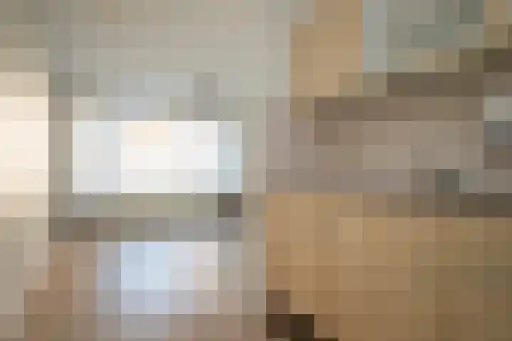 Den Heuvel 47 Genemuiden thumbnail 4