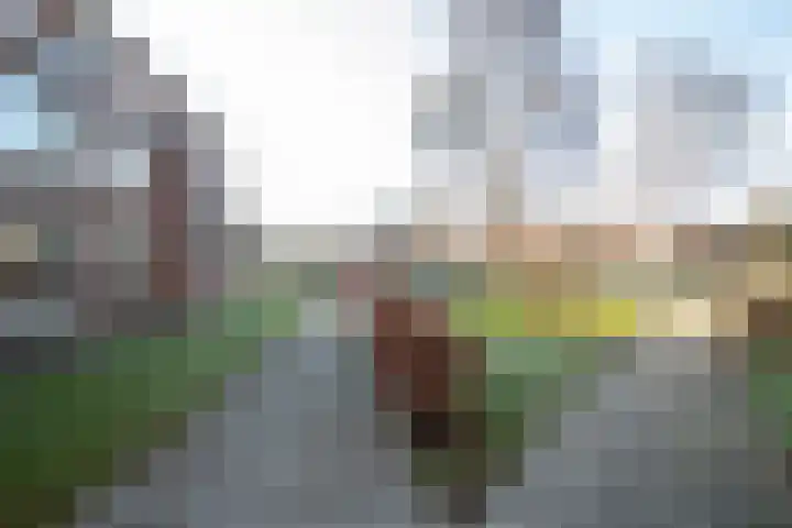 Den Heuvel 47 Genemuiden thumbnail 7
