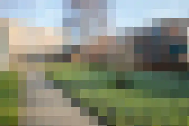 Den Heuvel 47 Genemuiden thumbnail 8