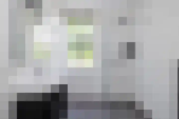 Den Heuvel 48 Knegsel thumbnail 23