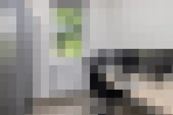 Den Heuvel 48 Knegsel thumbnail 27
