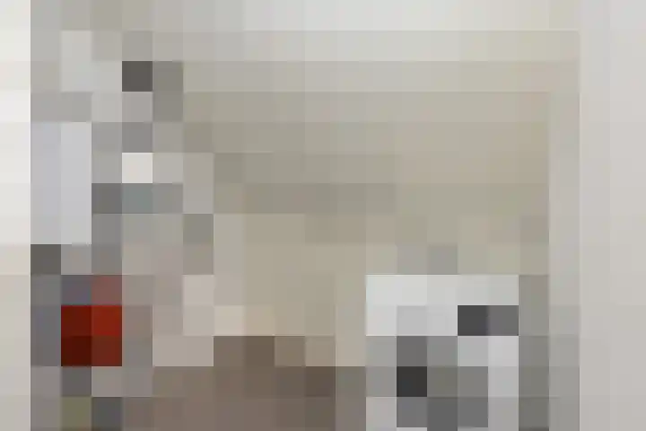 Den Heuvel 48 Knegsel thumbnail 34