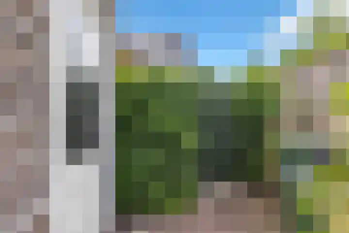 Den Heuvel 48 Knegsel thumbnail 42