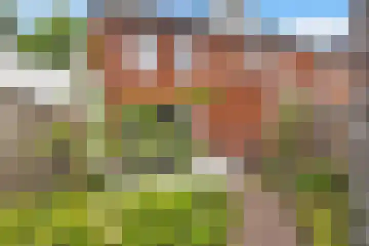 Den Heuvel 48 Knegsel thumbnail 43