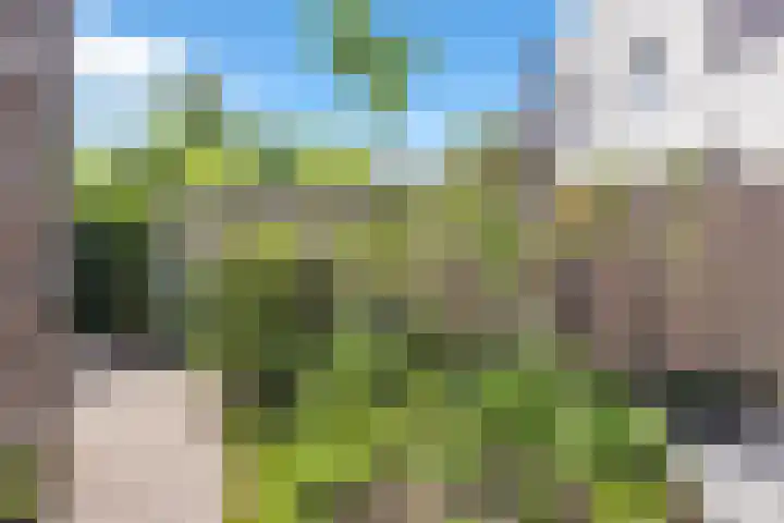 Den Heuvel 48 Knegsel thumbnail 44