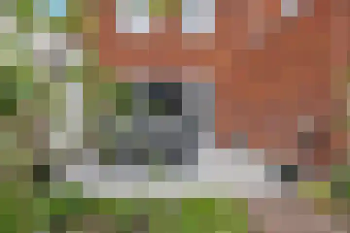 Den Heuvel 48 Knegsel thumbnail 46