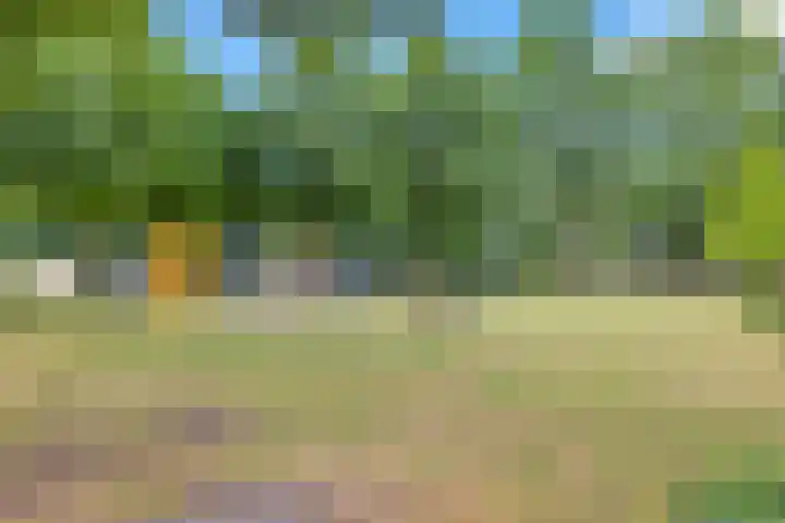 Den Heuvel 48 Knegsel thumbnail 47