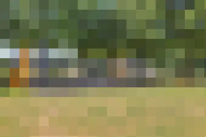 Den Heuvel 48 Knegsel thumbnail 48