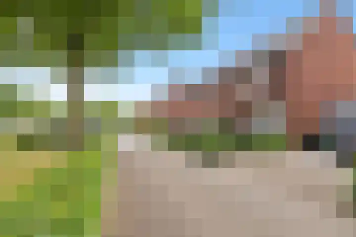 Den Heuvel 48 Knegsel thumbnail 8