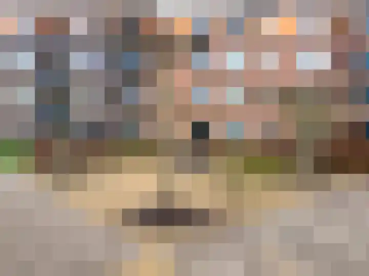 Den Heuvel 49 Genemuiden thumbnail 13