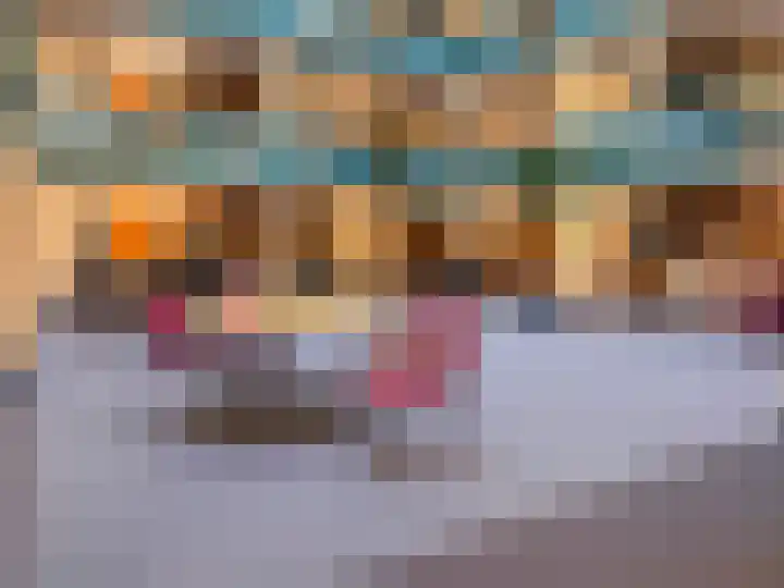 Den Heuvel 49 Genemuiden thumbnail 15