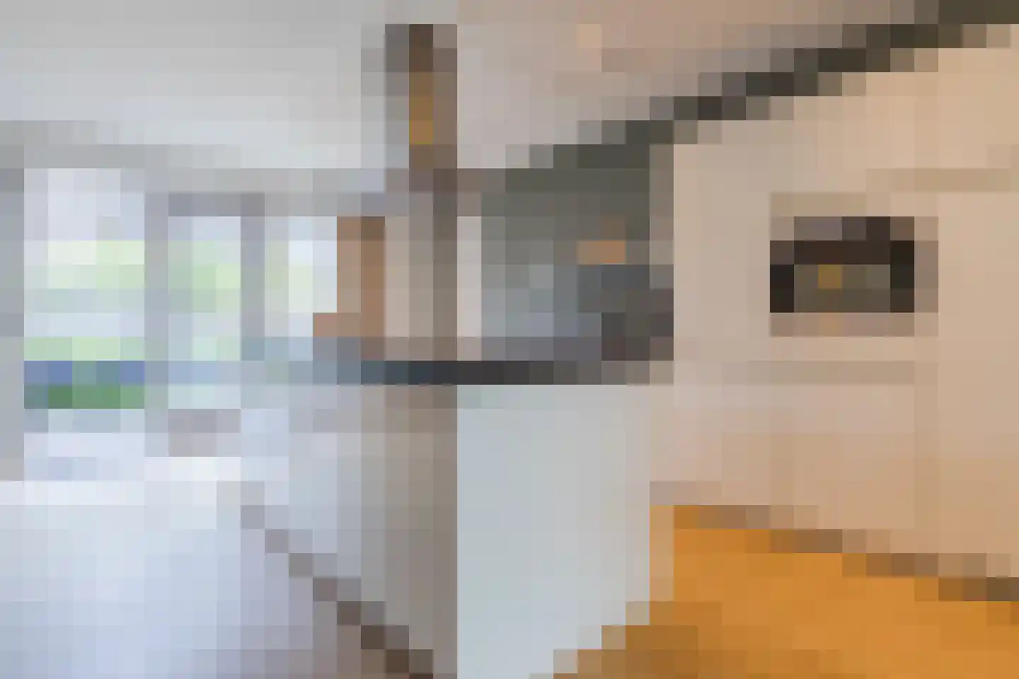 Den Heuvel 54 Knegsel thumbnail 10