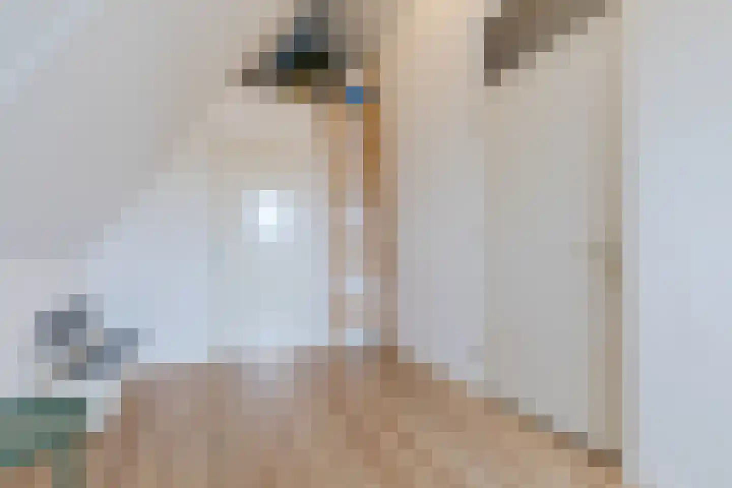 Den Heuvel 54 Knegsel thumbnail 48
