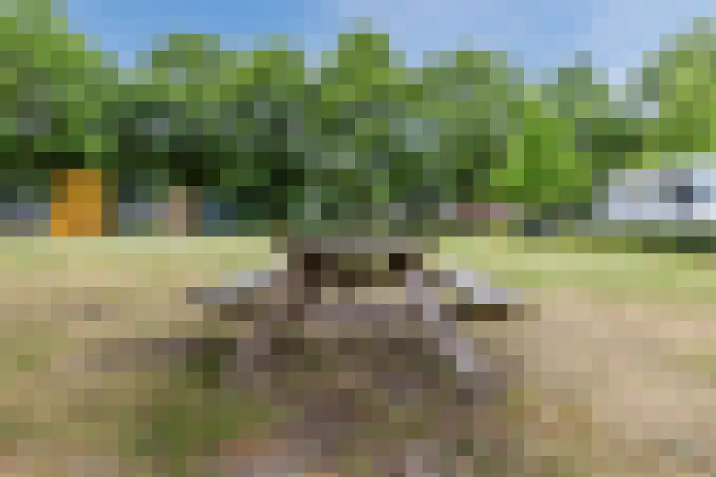 Den Heuvel 54 Knegsel thumbnail 58