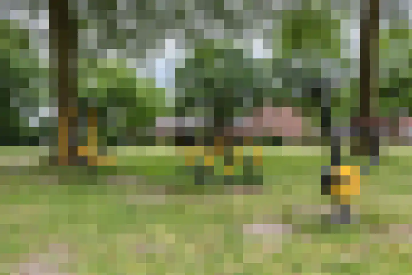Den Heuvel 54 Knegsel thumbnail 60
