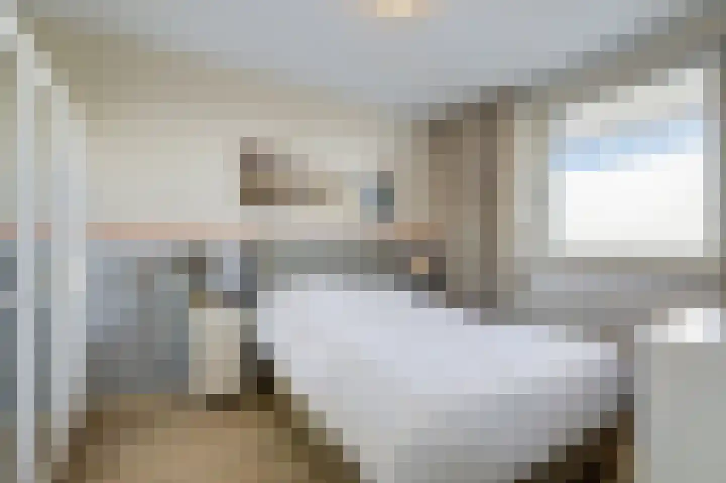 Den Heuvel 55 Velp thumbnail 20