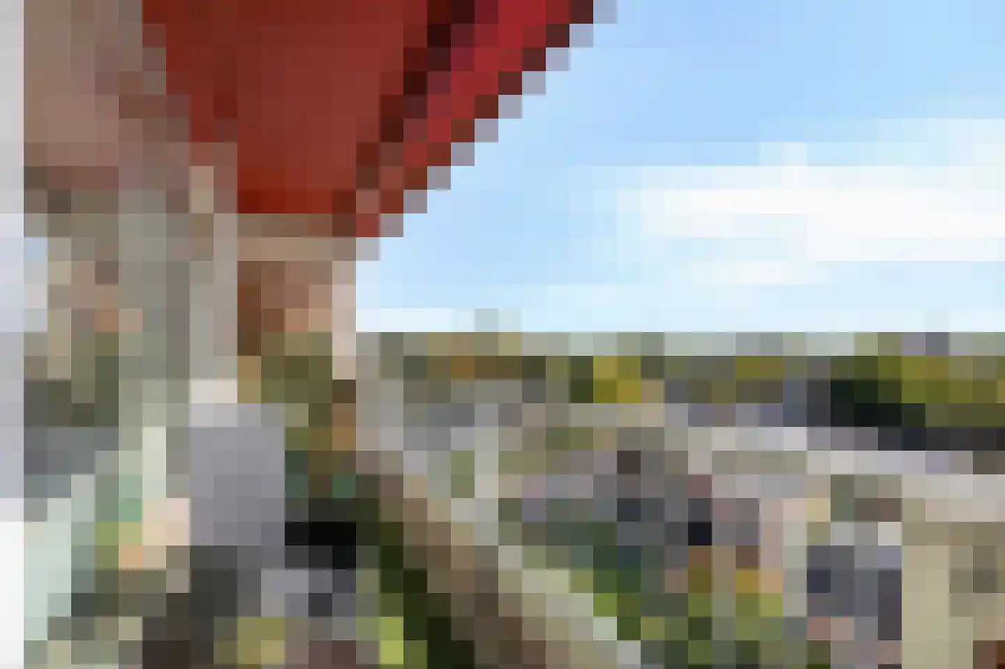 Den Heuvel 55 Velp thumbnail 25