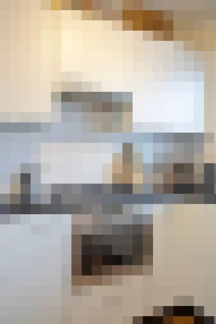 den Heuvel 62 Oirschot thumbnail 14
