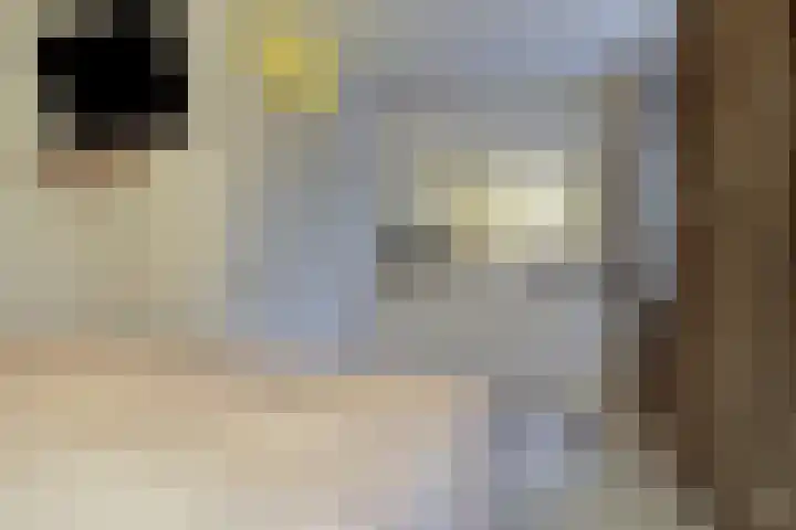 den Heuvel 62 Oirschot thumbnail 19