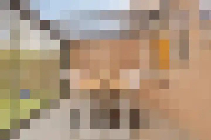 den Heuvel 62 Oirschot thumbnail 28
