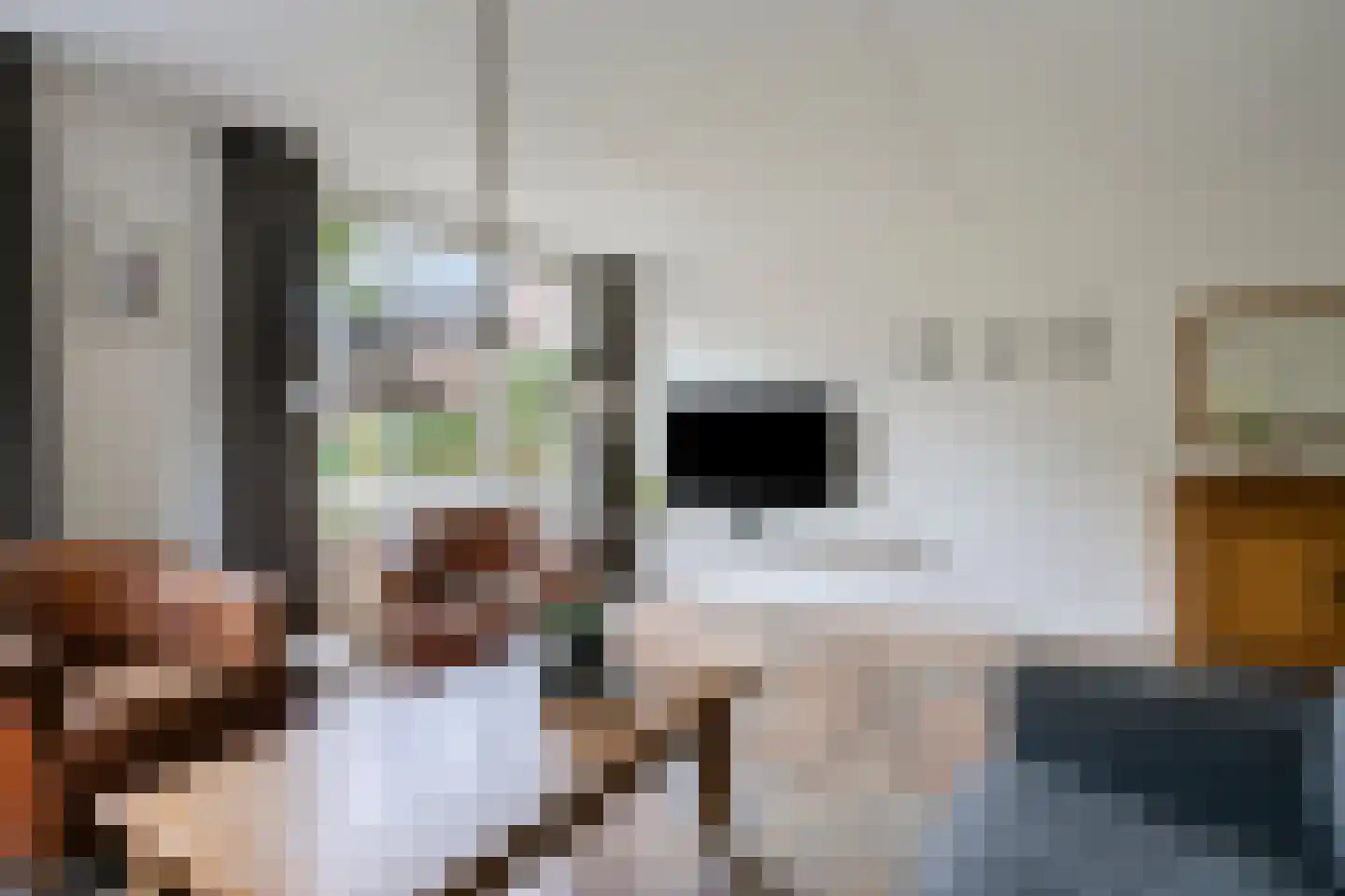 Den Heymit 12 Haren thumbnail 15