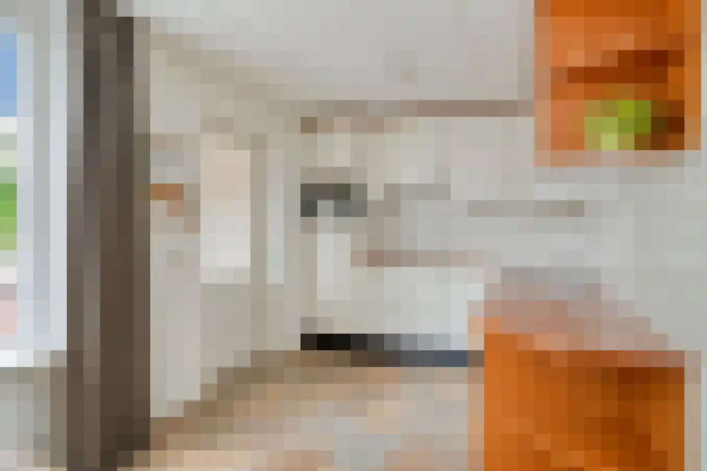Den Heymit 12 Haren thumbnail 18