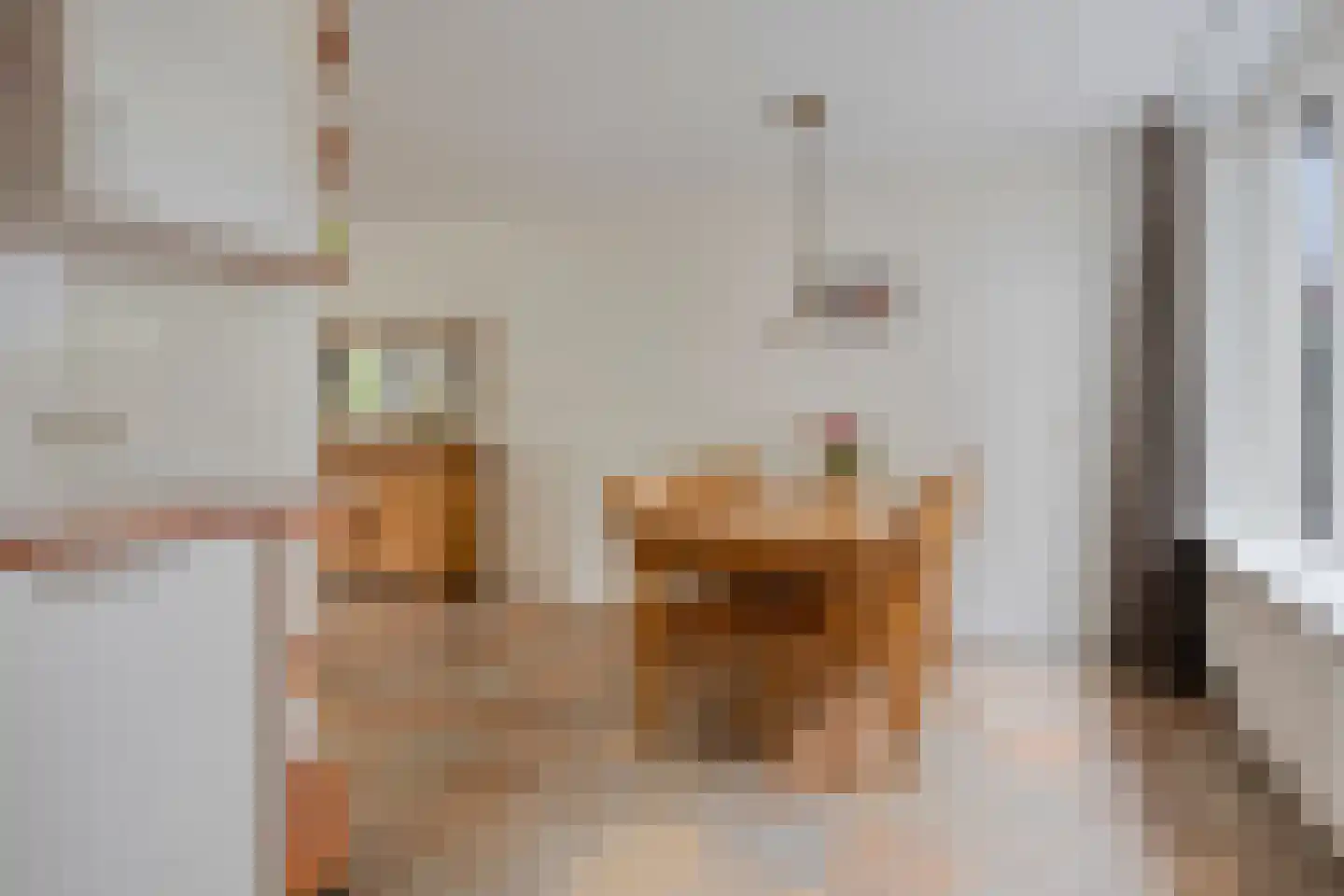 Den Heymit 12 Haren thumbnail 20