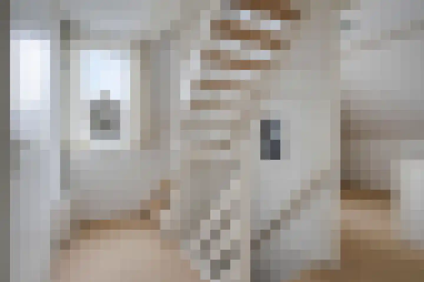 Den Heymit 12 Haren thumbnail 24