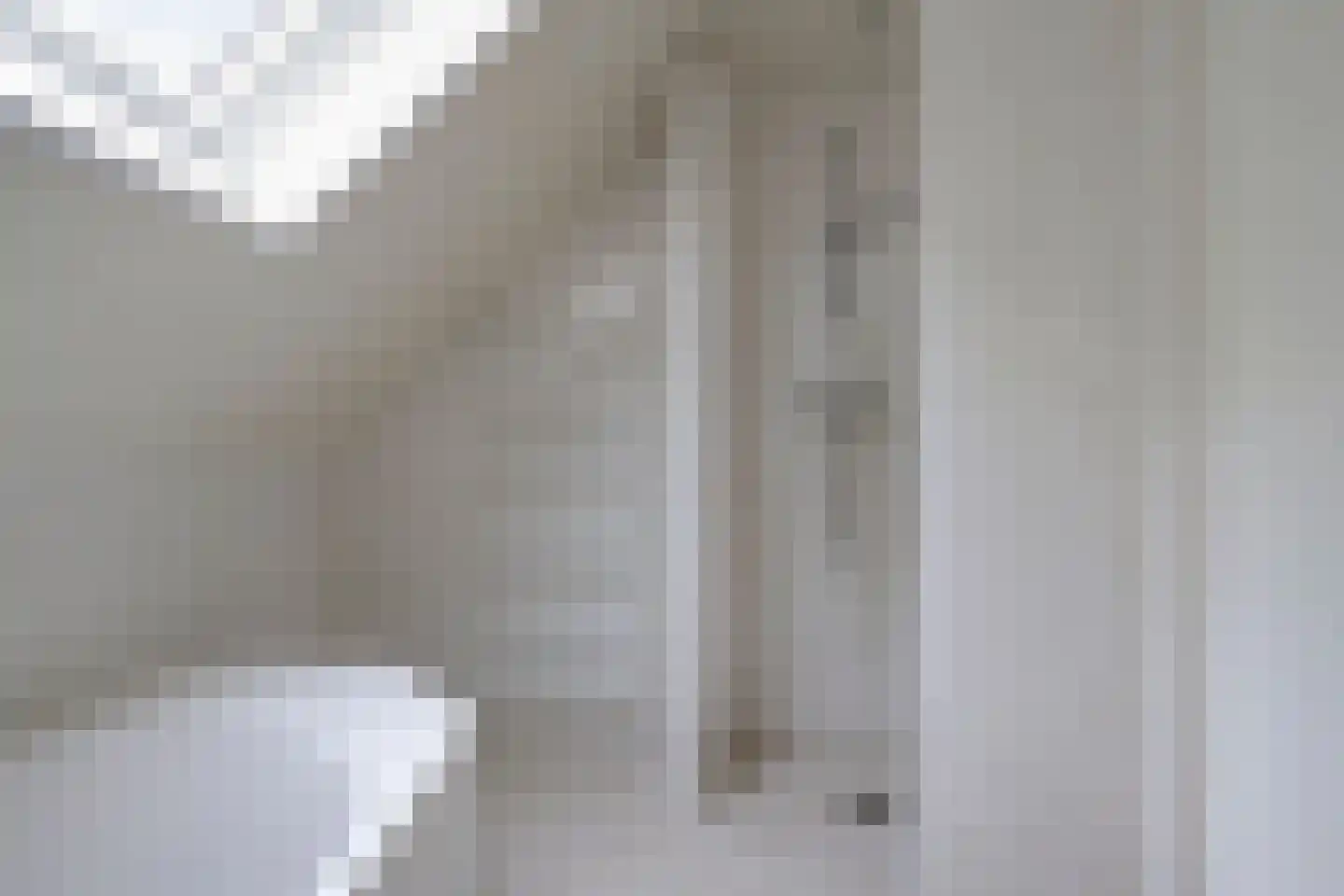 Den Heymit 12 Haren thumbnail 28