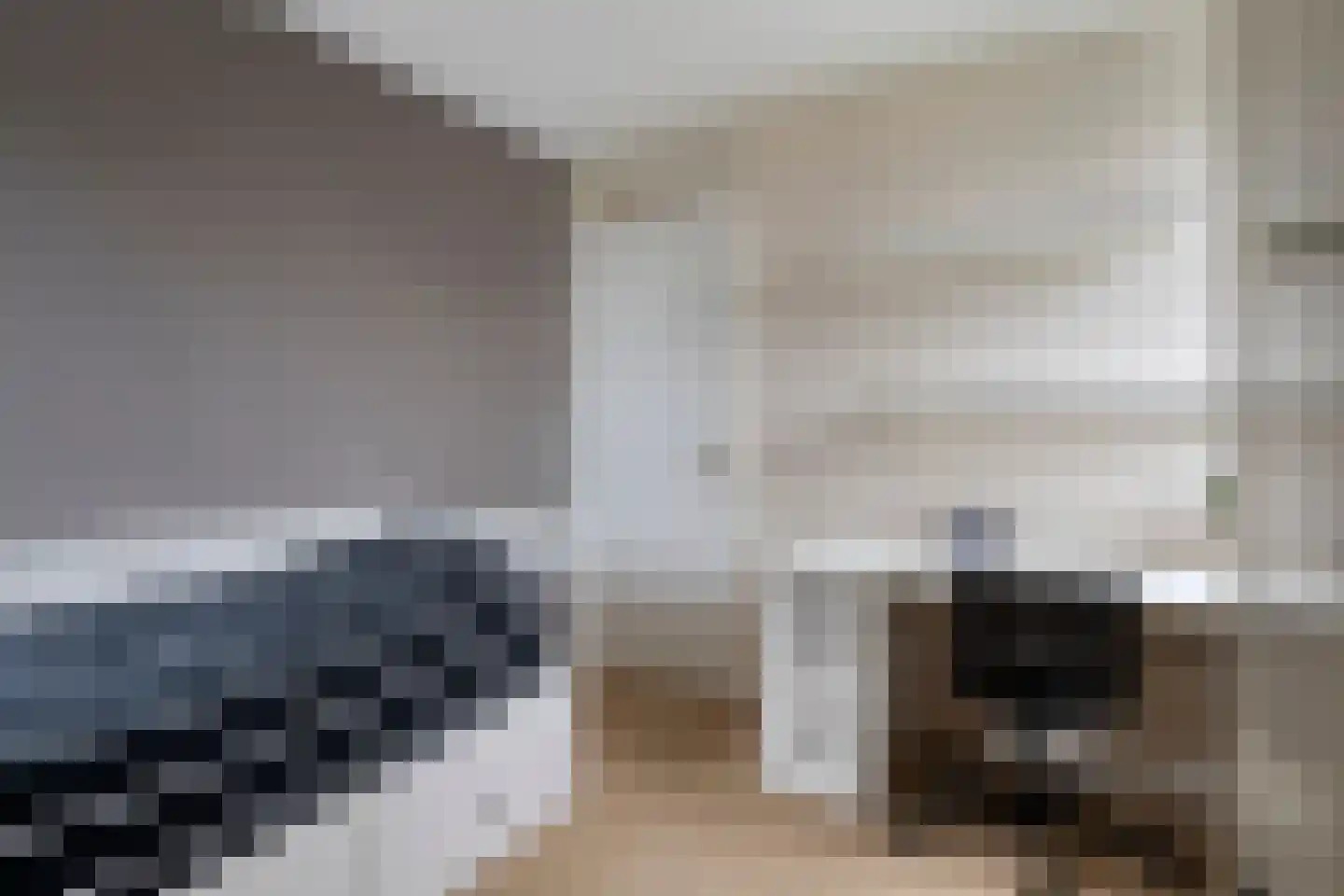 Den Heymit 12 Haren thumbnail 30