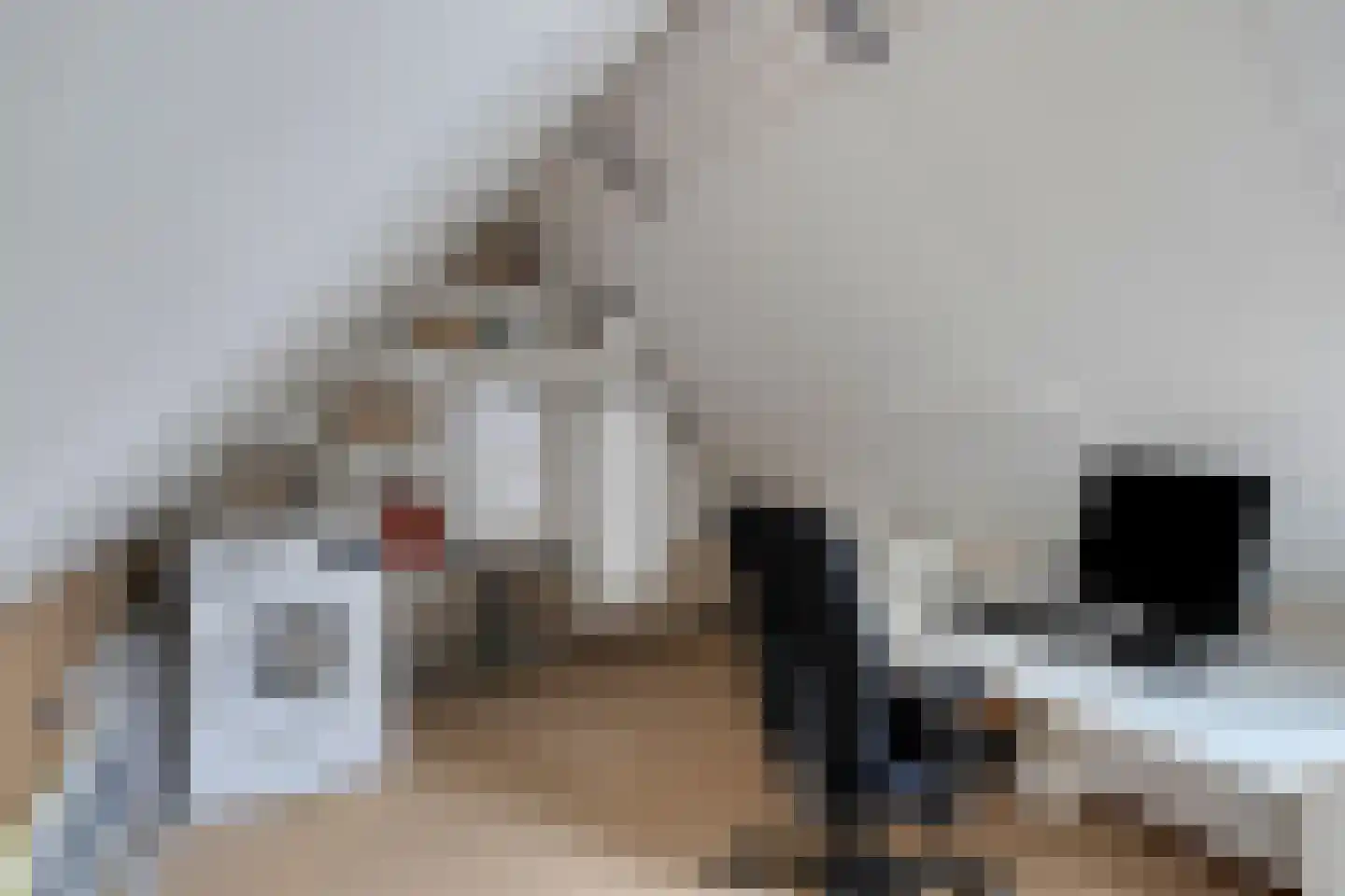 Den Heymit 12 Haren thumbnail 32