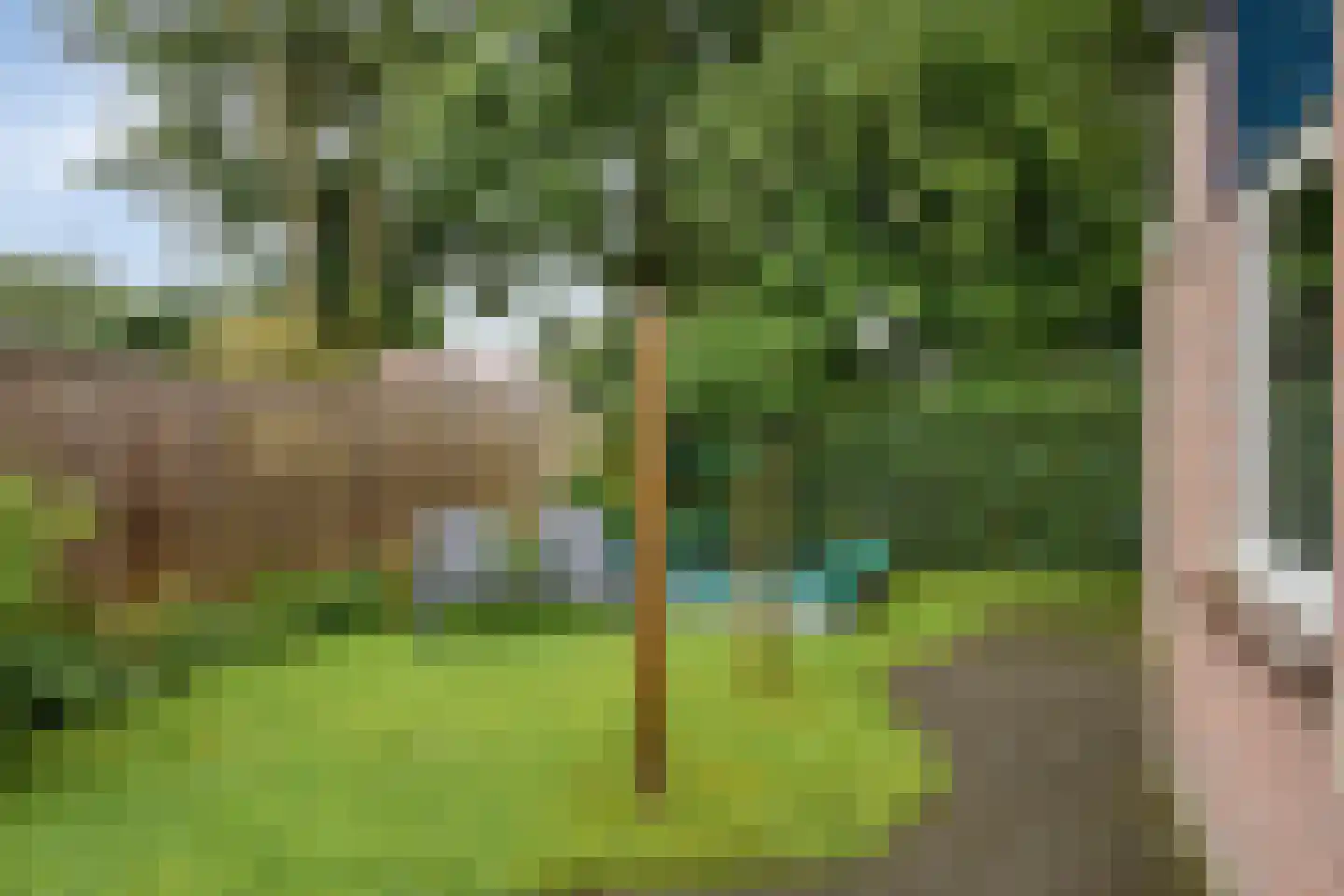Den Heymit 12 Haren thumbnail 34