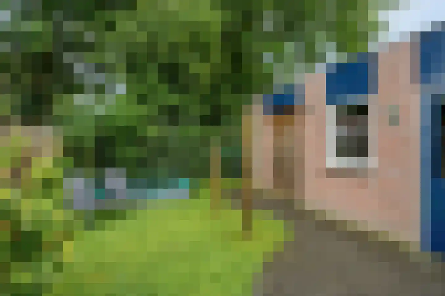 Den Heymit 12 Haren thumbnail 35