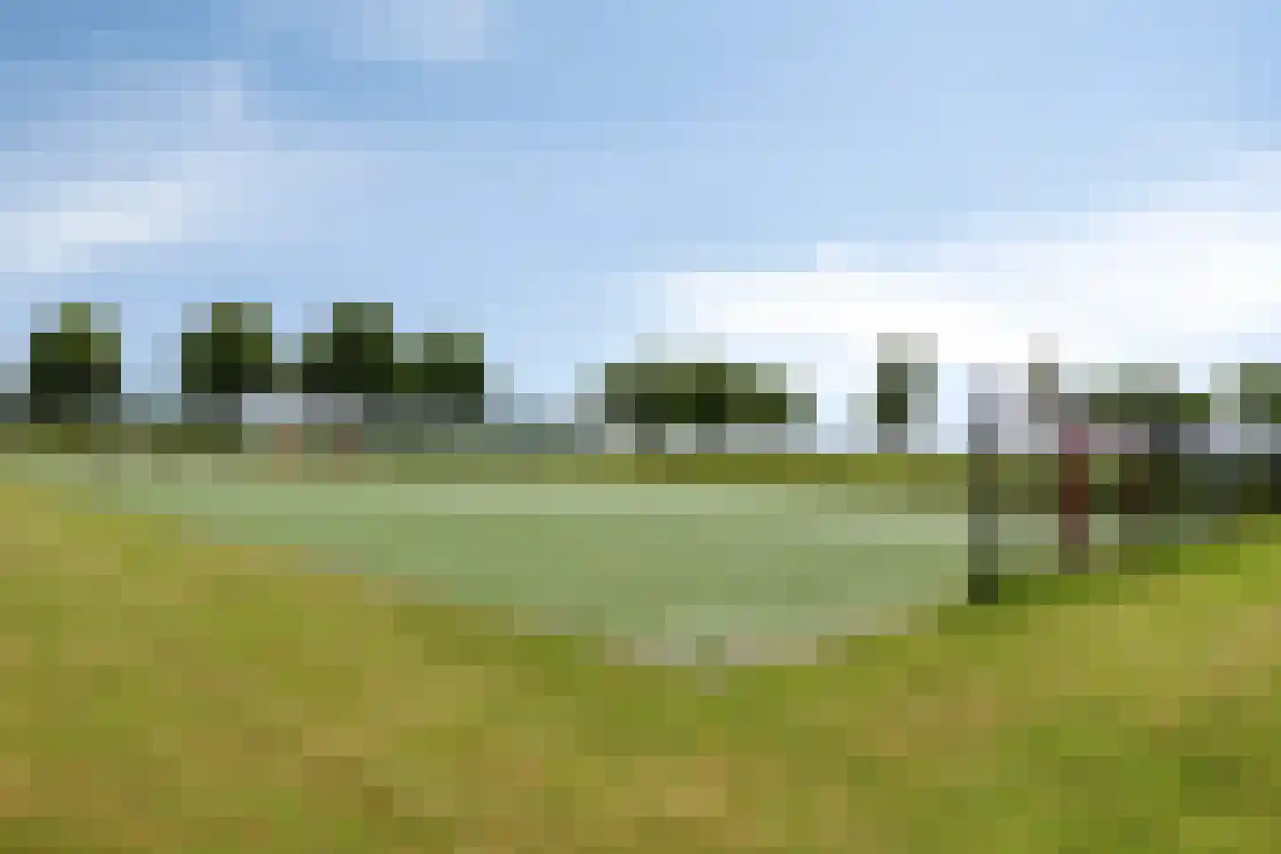 Den Heymit 12 Haren thumbnail 40