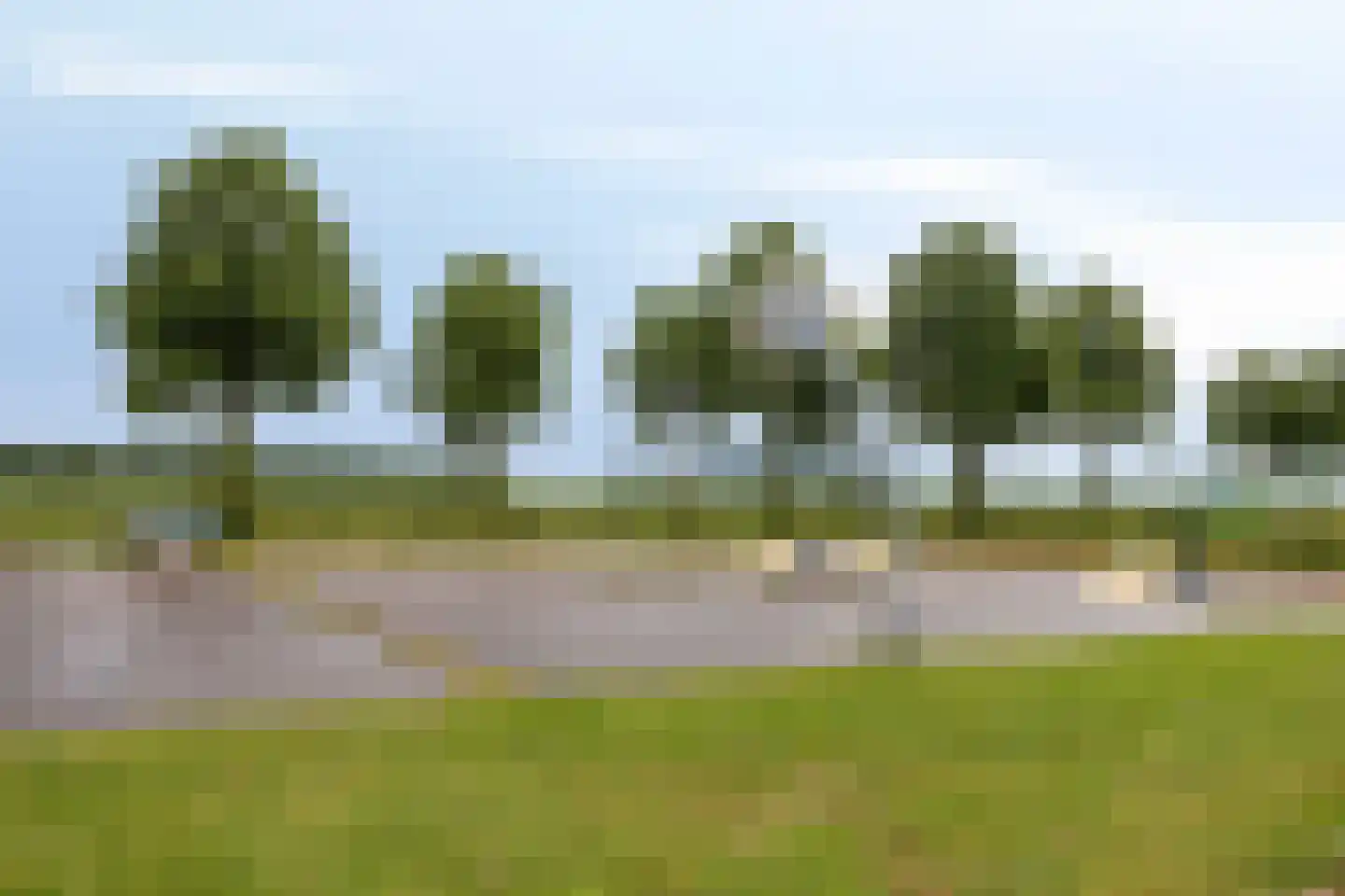 Den Heymit 12 Haren thumbnail 41