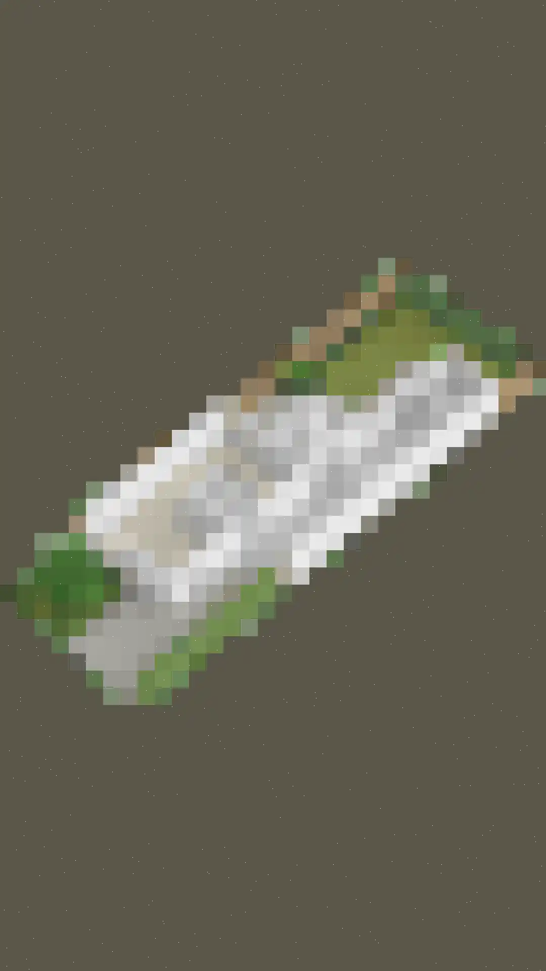 Den Heymit 12 Haren thumbnail 43