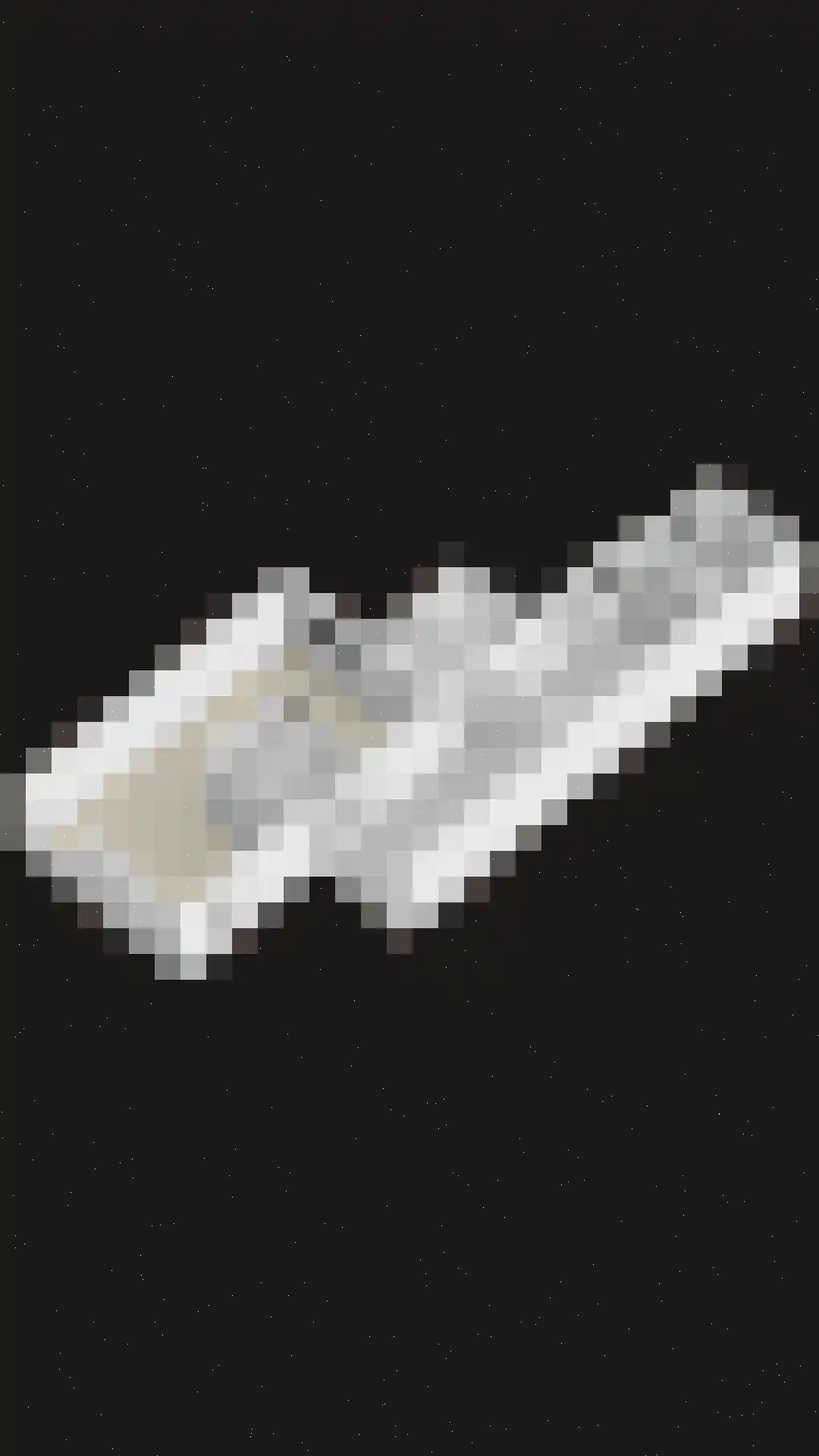 Den Heymit 12 Haren thumbnail 45