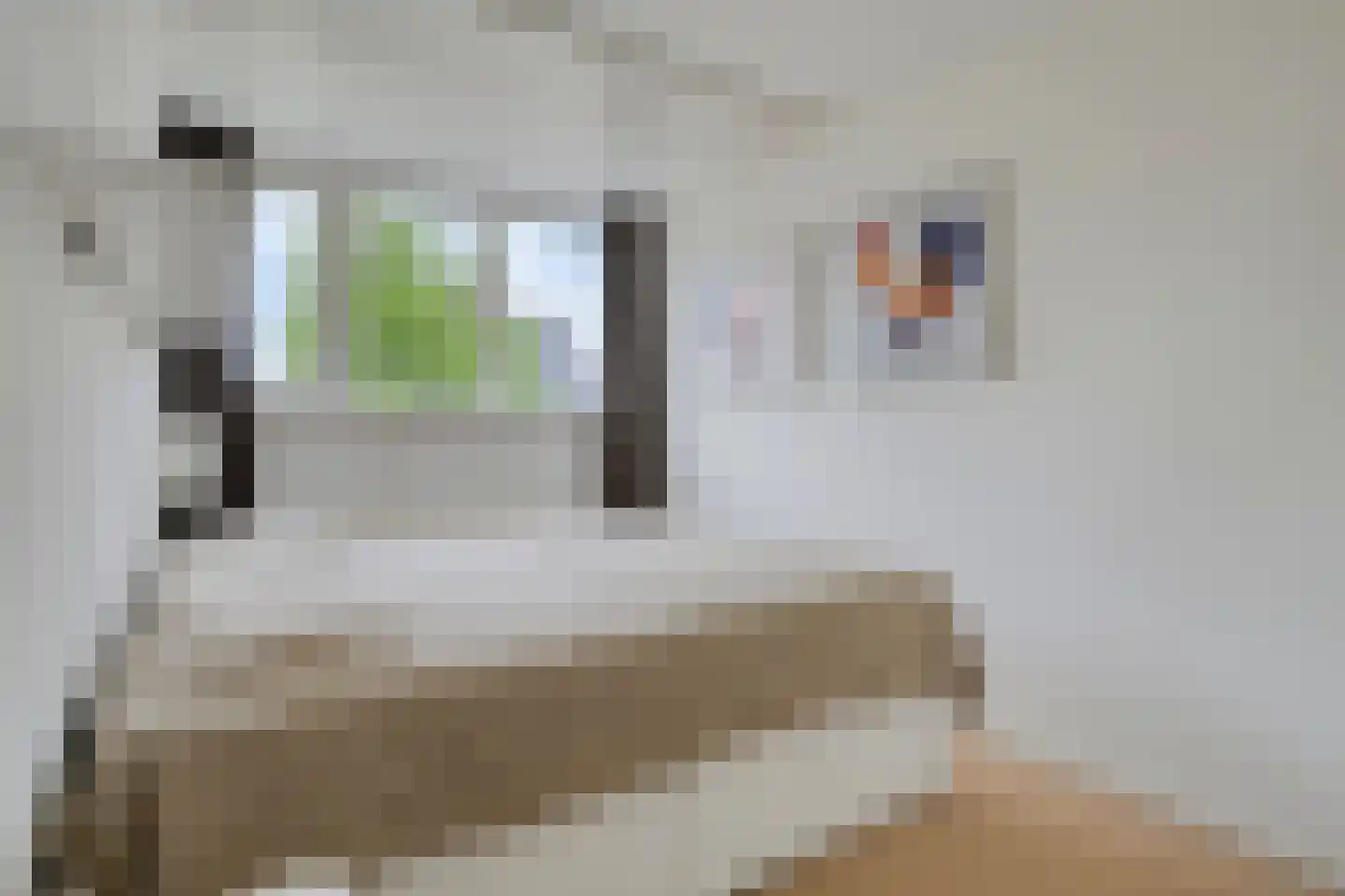 Den Heymit 12 Haren thumbnail 5