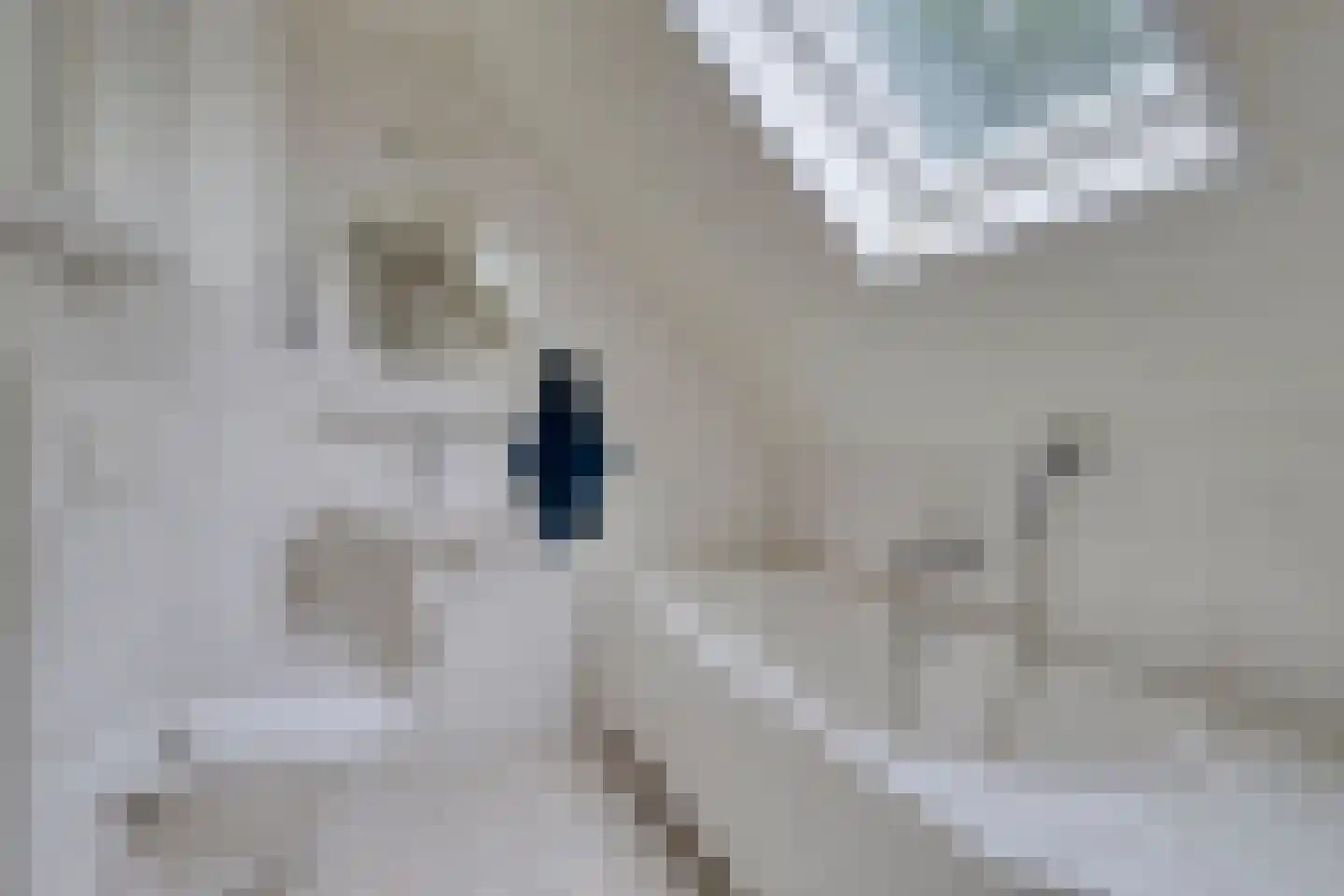 Den Heymit 12 Haren thumbnail 6