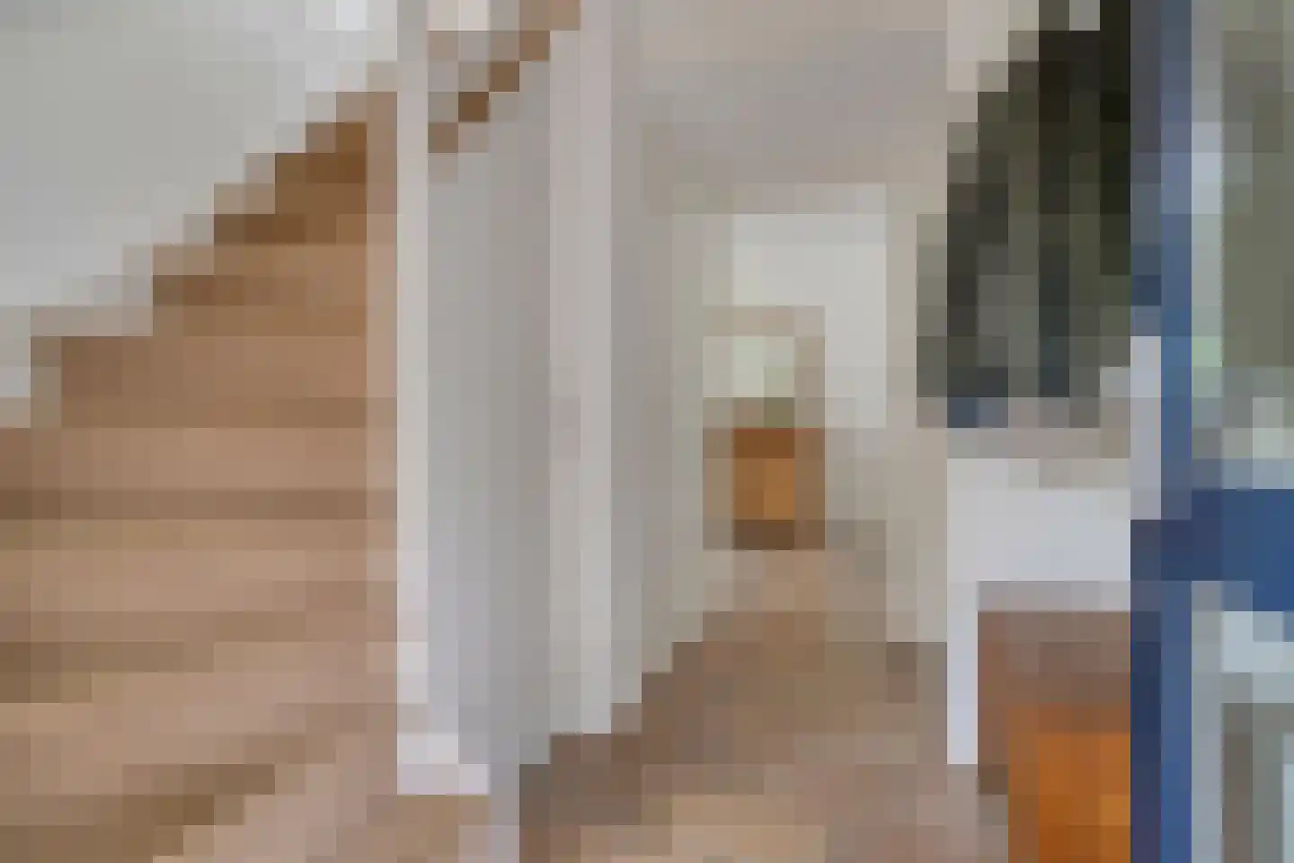 Den Heymit 12 Haren thumbnail 9
