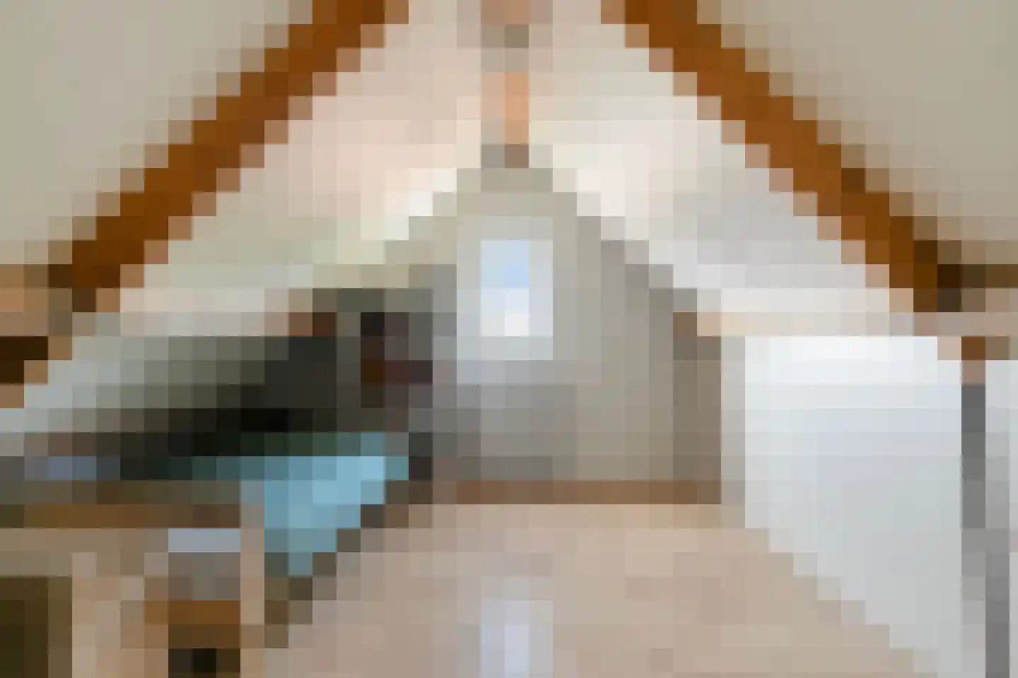 Den Hil 4 Sint Anthonis thumbnail 18