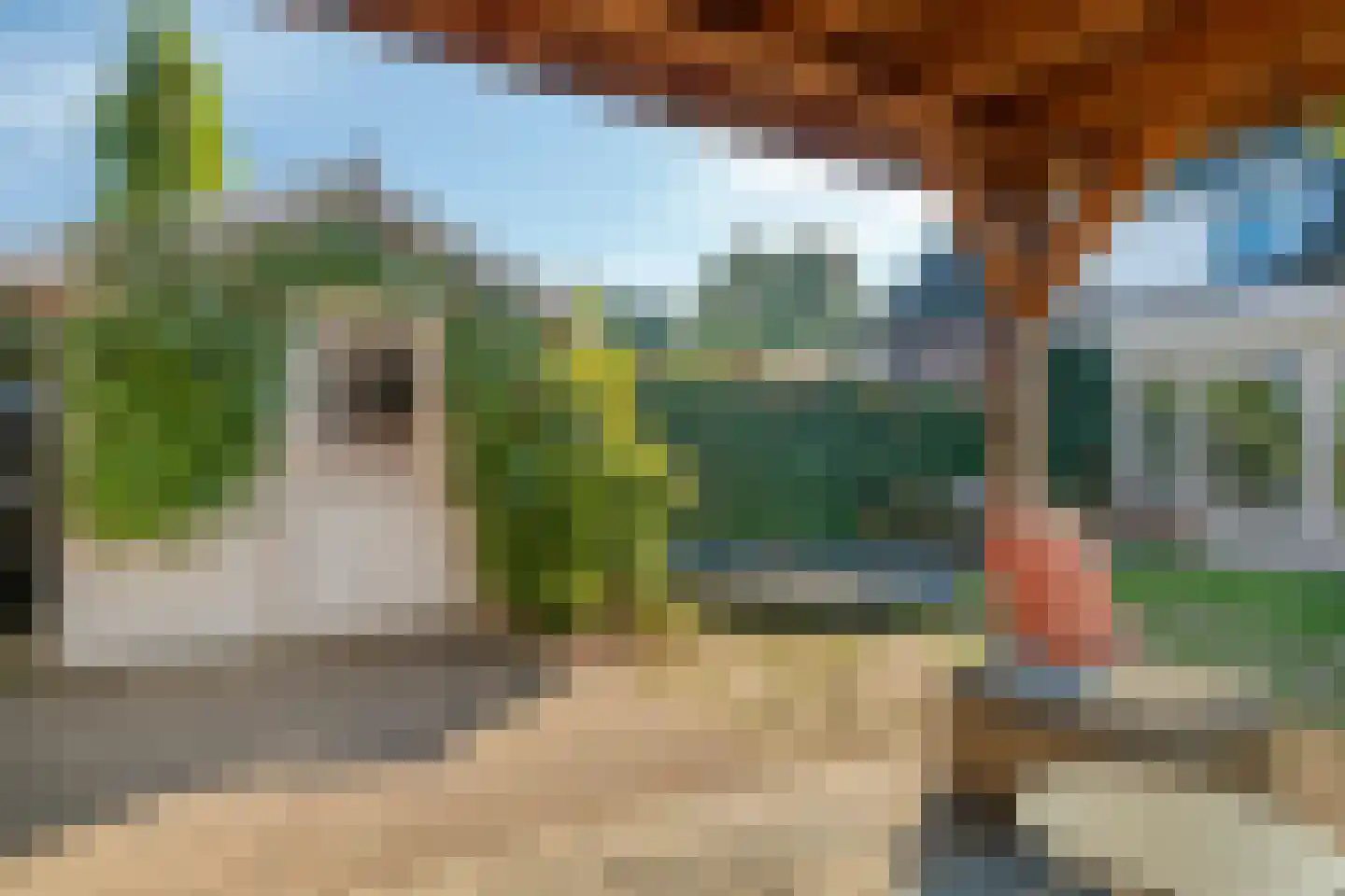 Den Hil 4 Sint Anthonis thumbnail 23