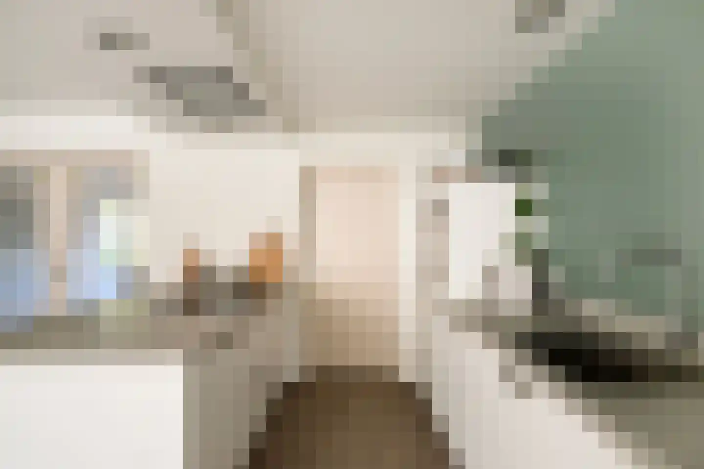 Den Hil 4 Sint Anthonis thumbnail 8